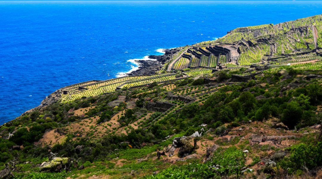 Sicily coast land and water birds eye view